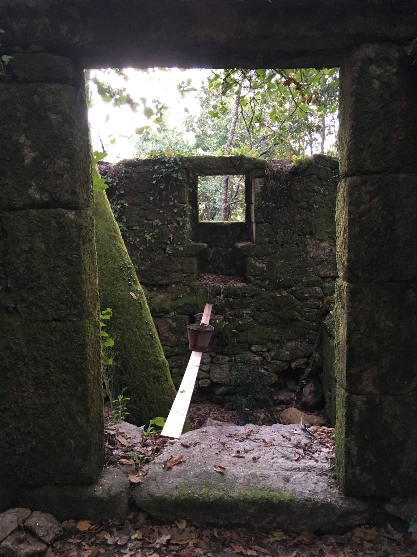 Interior de la ruina