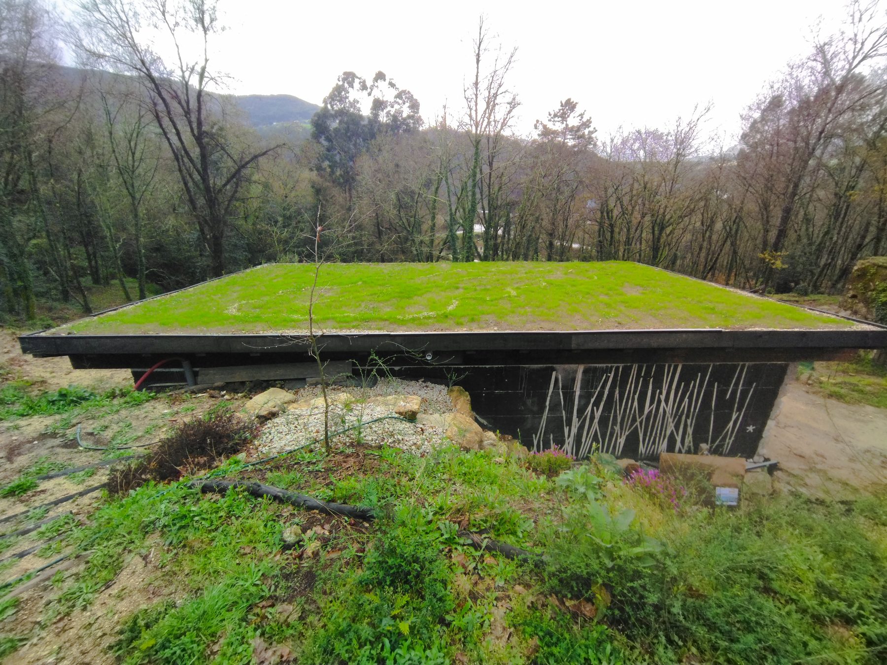Techo verde entre el bosque
