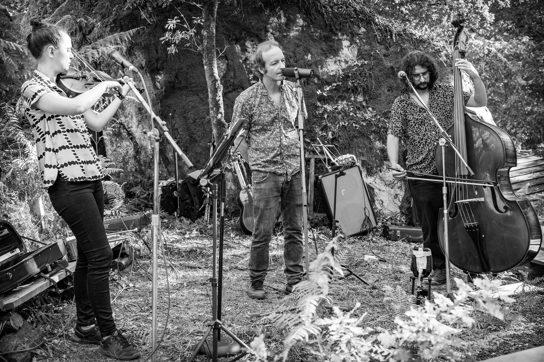 Encuentro musical en el bosque de As Palliñas